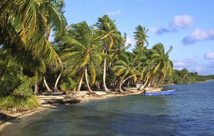 Islands;ocean;palm trees;blue;water;sky;manihi;french polynesia